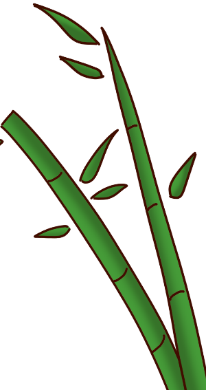 竹子圖片