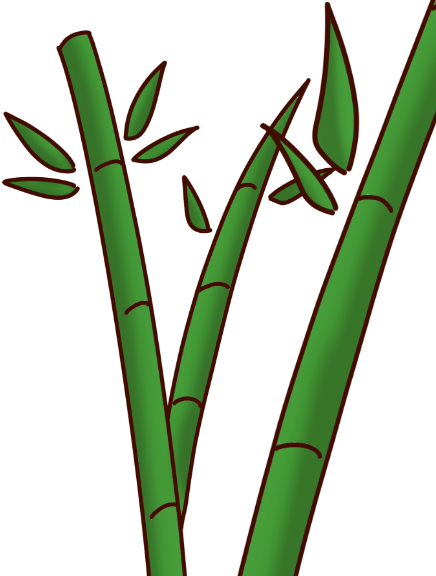 竹子圖片
